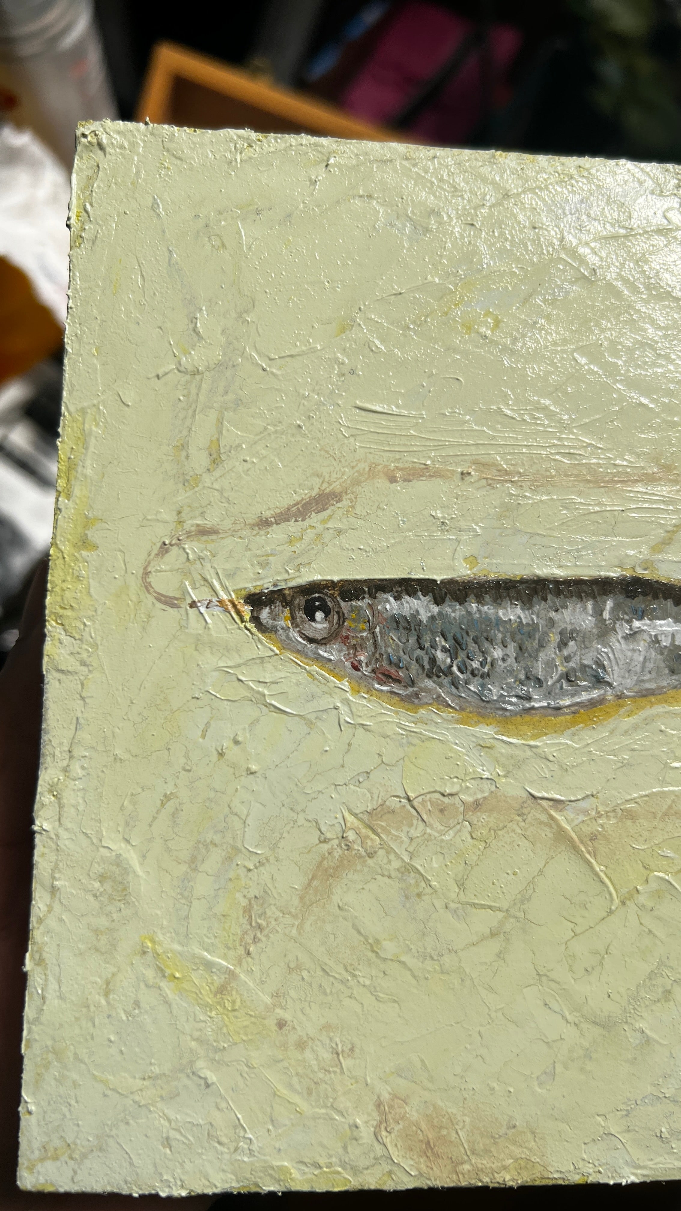 Sardine on Butter #77
